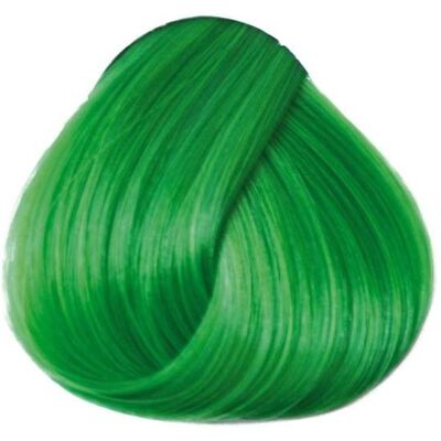 La Riche Directions Haarverf Spring green 89ml La Riche Directions Haarverf Spring green 89ml