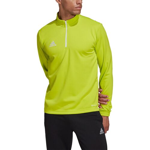 adidas - Entrada 22 Training Top - Heren Training Top Groen M Heren