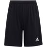 adidas - Entrada 22 Shorts - Zwarte Voetbalshorts Heren Zwart M Heren