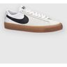 Nike SB Zoom Blazer Low Pro Gt Skateschoenen wit