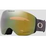 Oakley Flight Deck L Grey Smoke Goggle grijs