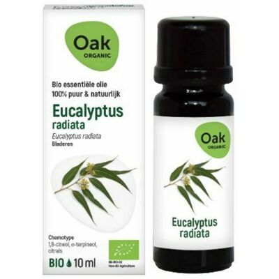 Oak Ess Olie Eucalyptus Radiata 10ml Bio Oak Ess Olie Eucalyptus Radiata 10ml Bio