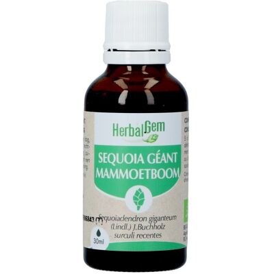 Herbalgem Mammoetboom Bio 30ml Herbalgem Mammoetboom Bio 30ml
