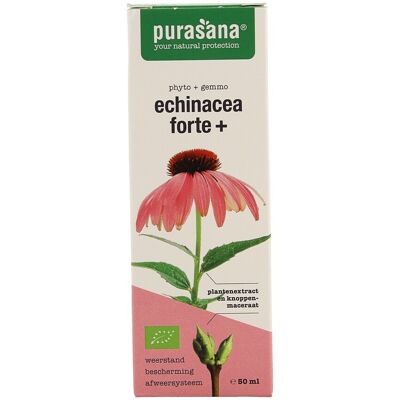 Purasana Vegan Echinacea Forte+ 50ml Purasana Vegan Echinacea Forte+ 50ml