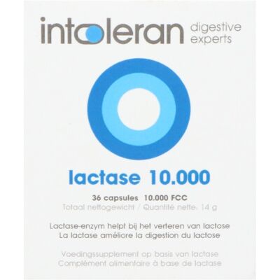 Intoleran Lactase 10 000 36 Capsules Intoleran Lactase 10 000 36 Capsules