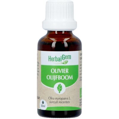 HerbalGem Biologische Olijvenknoppen - Ondersteunt de Circulatie - 30ml HerbalGem Biologische Olijvenknoppen - Ondersteunt de Circulatie - 30ml