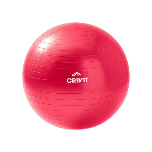 CRIVIT Gymnastiekbal (Ø 55 cm)