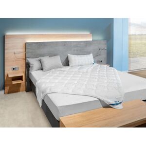 BeCo Zomerdekbed COTTON SOFT (135 x 200 cm) BeCo Zomerdekbed COTTON SOFT (135 x 200 cm)