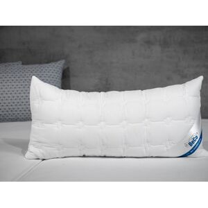 BeCo Hoofdkussen COTTON SOFT (40 x 80 cm) BeCo Hoofdkussen COTTON SOFT (40 x 80 cm)