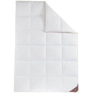 HÄUSSLING Royal donzen cassette dekbed extra warm (200 x 220 cm) HÄUSSLING Royal donzen cassette dekbed extra warm (200 x 220 cm)