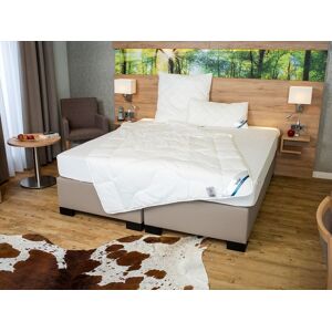 BeCo Zomerdekbed Proneem (155 x 220 cm) BeCo Zomerdekbed Proneem (155 x 220 cm)