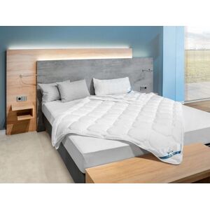 BeCo 4-seizoenen dekbed COTTON SOFT (155 x 220 cm) BeCo 4-seizoenen dekbed COTTON SOFT (155 x 220 cm)