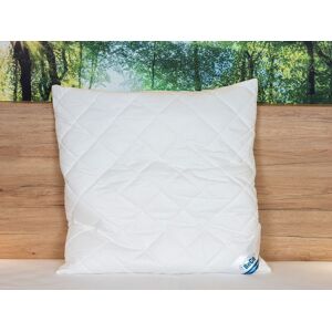 BeCo Hoofdkussen (80 X 80 cm) BeCo Hoofdkussen (80 X 80 cm)