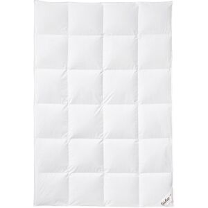Fjödur Luxus ganzendonzen cassette-dekbed, warm (135 x 200 cm) Fjödur Luxus ganzendonzen cassette-dekbed, warm (135 x 200 cm)