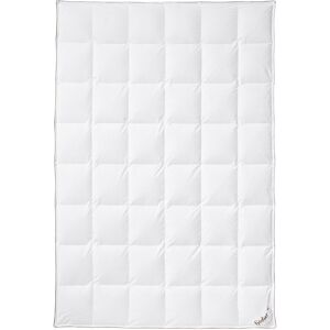 Fjödur 4-seizoenen donzen dekbed (240 x 220 cm) Fjödur 4-seizoenen donzen dekbed (240 x 220 cm)