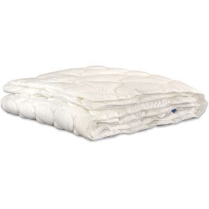 BECO EcoWell Dekbed - Vier Seizoenen, Biologisch Katoen of Microfibre BECO EcoWell Dekbed - Vier Seizoenen, Biologisch Katoen of Microfibre