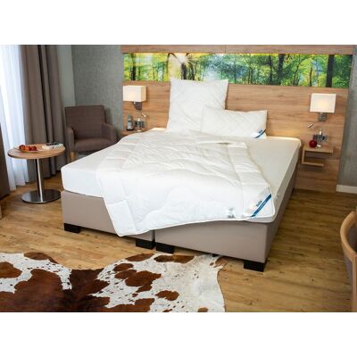 BeCo All season dekbed ANTI-ALLERGIE (135 x 200 cm) BeCo All season dekbed ANTI-ALLERGIE (135 x 200 cm)