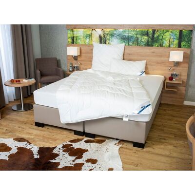 BeCo 4-seizoenen dekbed ANTI-ALLERGIE (155 x 220 cm) BeCo 4-seizoenen dekbed ANTI-ALLERGIE (155 x 220 cm)