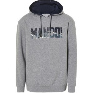 Lidl Heren hoodie (L, Grijs) Lidl Heren hoodie (L, Grijs)