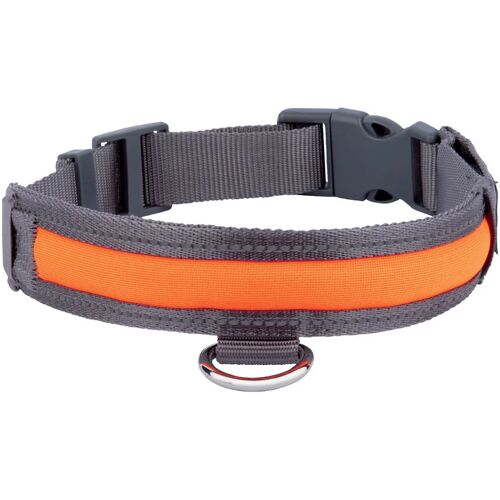 zoofari LED-hondenhalsband (hond, Halsband, L)