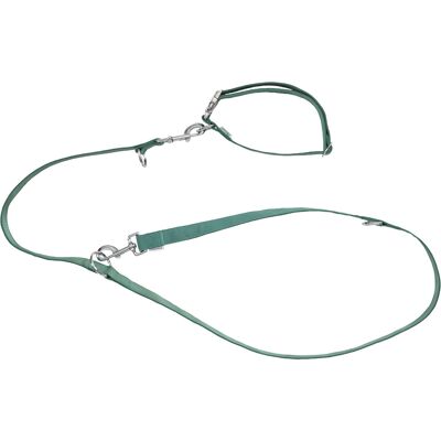 zoofari Hondenhalsband en riem (M, Groen) zoofari Hondenhalsband en riem (M, Groen)