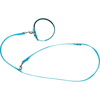 zoofari Hondenhalsband en -lijn (L) zoofari Hondenhalsband en -lijn (L)