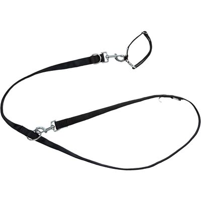 zoofari Hondenhalsband en riem (M, Zwart) zoofari Hondenhalsband en riem (M, Zwart)
