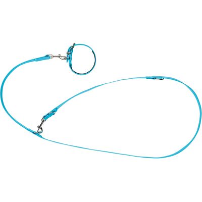zoofari Hondenhalsband en -lijn (S) zoofari Hondenhalsband en -lijn (S)