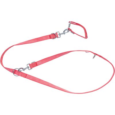 zoofari Hondenhalsband en riem (S, Rood) zoofari Hondenhalsband en riem (S, Rood)