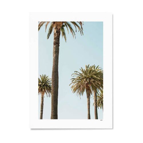 WIJCK. poster Mallorca - Palms (50x70 cm) 000