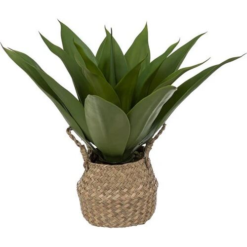 BEAU by Bo Kunstplant - Agave - Natuurlijke Pot - Hoogte 48cm