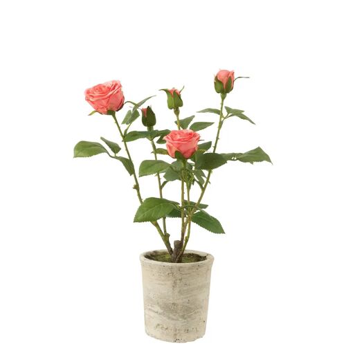 J-Line roos 5 Koppen In Pot - kunststof/textiel - roze/groen