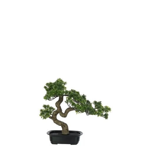 J-Line plant Podocarpus Bonsai - kunststof - groen - small