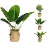 BEAU by Bo Plant - Plant in mand - 46 cm - 3 Varianten - Kunstplant
