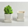 Okaa Lika Ivory Ceramic Mini Flower pots (set of 2)