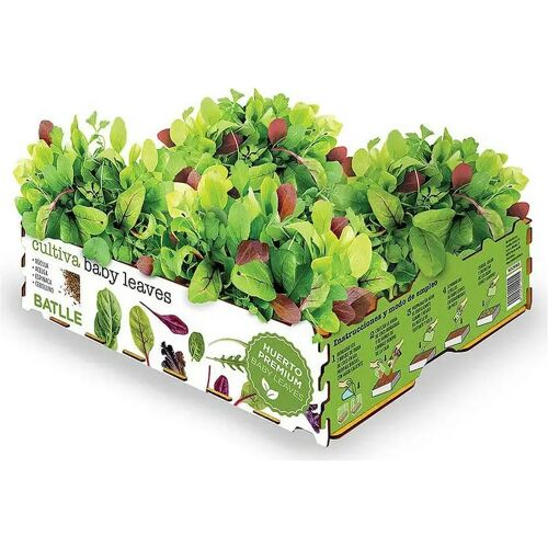 17258 Kweekset Batlle Baby Leaves Salades 40 x 29 x 10,5 cm 2,6 Kg