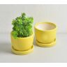 Okaa Lika Sunshine Ceramic Mini Flower pots (set of 2)