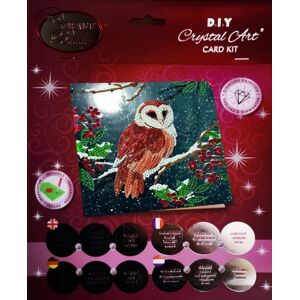 Jonotoys Diamond painting - kerstkaart met kerkuil bij maanlicht Jonotoys Diamond painting - kerstkaart met kerkuil bij maanlicht