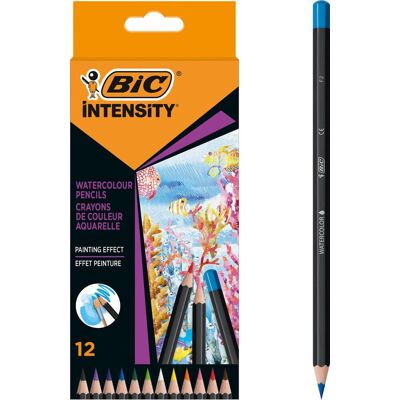 BIC intensity aquarel potloden - aquarelpotloden - kinderen en volwassenen - verschillende kleuren - potlood - 12 stuks BIC intensity aquarel potloden - aquarelpotloden - kinderen en volwassenen - verschillende kleuren - potlood - 12 stuks