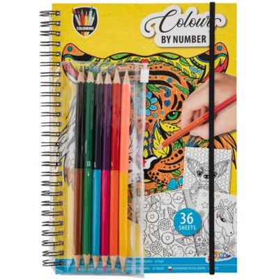 Creative Craft Kleur op Nummer - Kleurboek met kleurpotloden Creative Craft Kleur op Nummer - Kleurboek met kleurpotloden