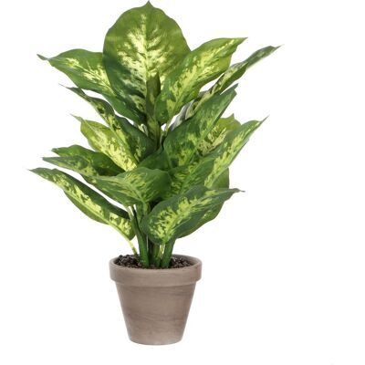 Mica Decorations kunstplant dieffenbachia - groen - 40 cm - in pot - nepplant - kamerplant Mica Decorations kunstplant dieffenbachia - groen - 40 cm - in pot - nepplant - kamerplant