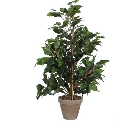 Mica Decorations kunstplant tropische ficus - groen - 65 cm - binnen - kamerplant - nepplant - binnenplanten. Mica Decorations kunstplant tropische ficus - groen - 65 cm - binnen - kamerplant - nepplant - binnenplanten.