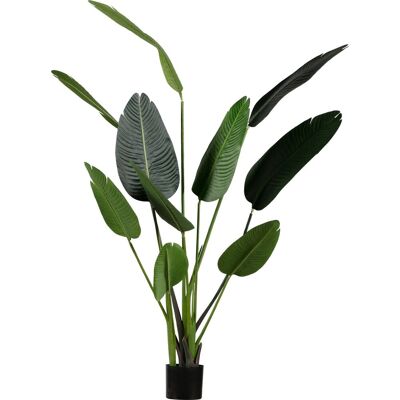 WOOOD Strelitzia - Kunstmatige Plant - Groen - 164x96x63 cm WOOOD Strelitzia - Kunstmatige Plant - Groen - 164x96x63 cm