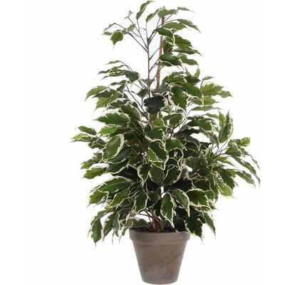 Mica Decorations kunstplant ficus - groen/wit - 65 cm - binnen - kunstplanten/nepplanten/binnenplanten Mica Decorations kunstplant ficus - groen/wit - 65 cm - binnen - kunstplanten/nepplanten/binnenplanten
