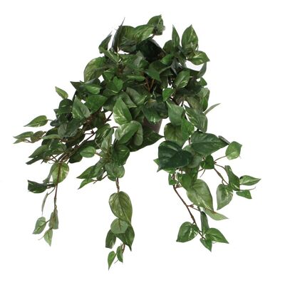 Mica Decorations kunstplant - scindapsus drakenklimop - groen - l45 x h25 cm - hangplant Mica Decorations kunstplant - scindapsus drakenklimop - groen - l45 x h25 cm - hangplant