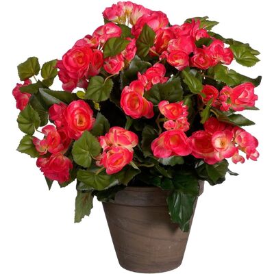 KantoormeubelenPlus Begonia Kunstplant in Bloempot Stan - 36x36x37 cm - Donkerroze - Kunstplant KantoormeubelenPlus Begonia Kunstplant in Bloempot Stan - 36x36x37 cm - Donkerroze - Kunstplant