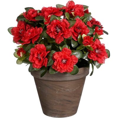 Mica Decorations kunstplant - azalea - rood - in pot - 31 cm - nepplanten Mica Decorations kunstplant - azalea - rood - in pot - 31 cm - nepplanten