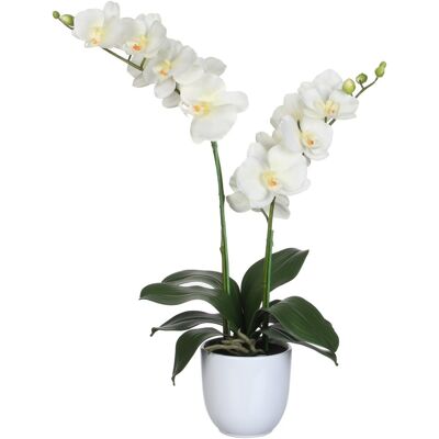 Mica Decorations orchidee bloem kunstplant - parel wit - h66 x b38 cm Mica Decorations orchidee bloem kunstplant - parel wit - h66 x b38 cm