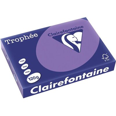 Clairefontaine trophée intens, gekleurd papier, a4, 120 g, 250 vel, violet Clairefontaine trophée intens, gekleurd papier, a4, 120 g, 250 vel, violet
