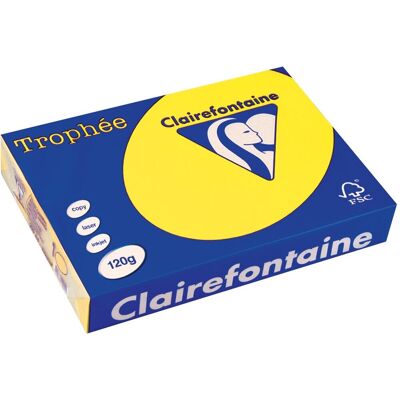 Clairefontaine trophée intens, gekleurd papier, a4, 120 g, 250 vel, zonnebloemgeel Clairefontaine trophée intens, gekleurd papier, a4, 120 g, 250 vel, zonnebloemgeel